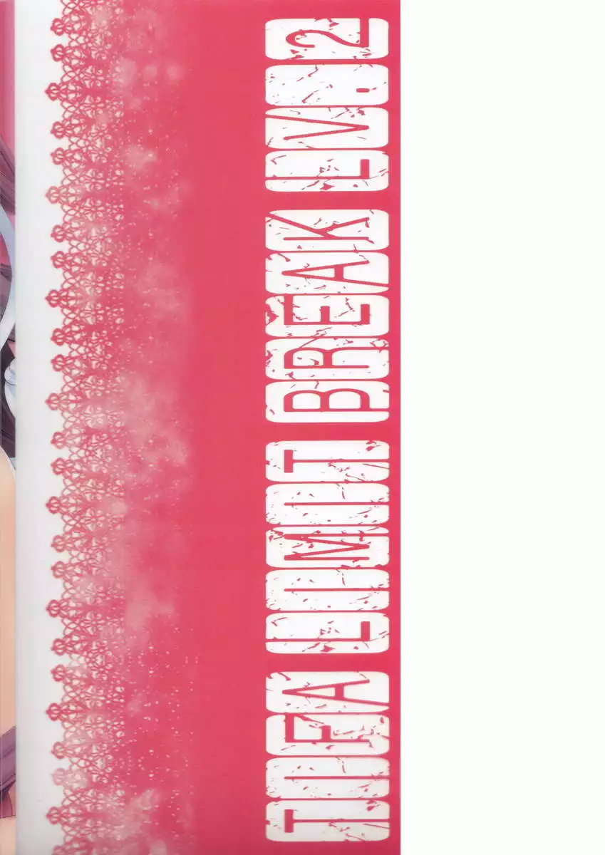 TIFA LIMIT BREAK LV.2