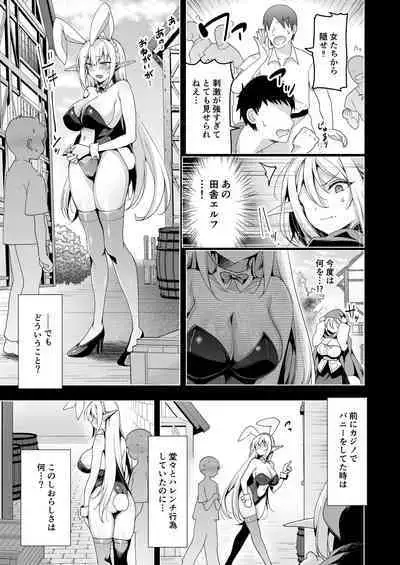 [Ninokoya (Ninoko)] Elf ni Inmon o Tsukeru Hon LEVEL:6 [Digital]