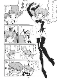 [Nawanoren (Various)] NN Kakubakudan (Saint Tail)