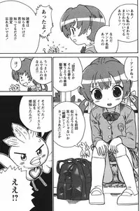 COMIC PAPIPO 2006-07