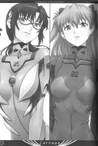 (C80) [The Knight of the Pants (Tsuji Takeshi)] Carnage (Neon Genesis Evangelion)