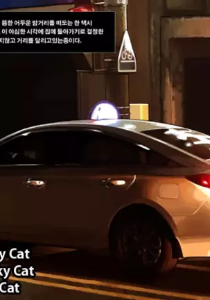 Taxi Driver's Lucky Day | 기사님의 운수좋은날