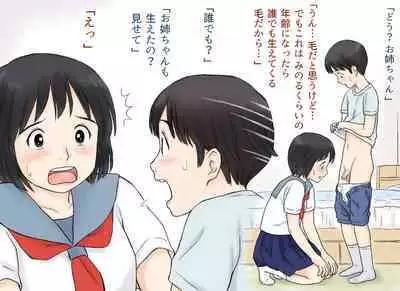 Sei ni Kyoumi o Mochihajimeta Ane to Otouto no Hatsutaiken