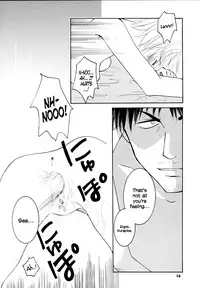 [Sakurara & Cherry (Sakura Mitsuru)] Pink Snow memoria (Hunter x Hunter)english