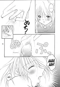 [Sakurara & Cherry (Sakura Mitsuru)] Pink Snow memoria (Hunter x Hunter)english