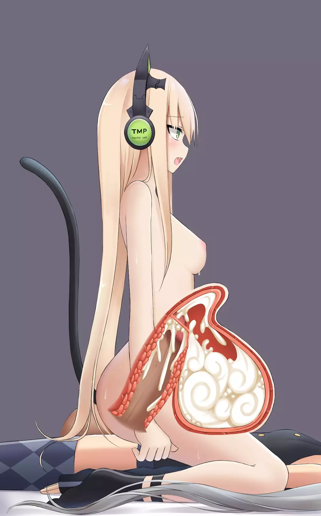 TMP Nichijou - TMPxPKP