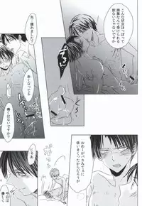 (HaruCC19) [101MEGA (Muga)] Nyannyan Shitaio! EX (Shingeki no Kyojin)