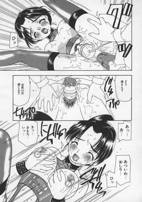 Cats On The Black Cage