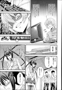 [Isami Nozomi] Kyoudai Replace