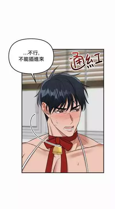 奇妙玩具来袭 01-03 Chinese