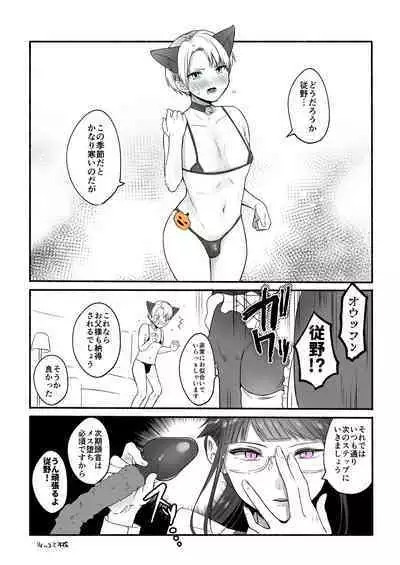 Chilukuni Box Vol. 1