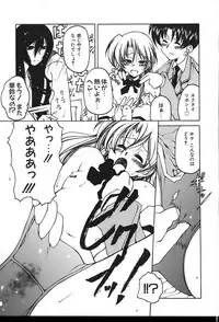 [Benjamin] Stray Sheep