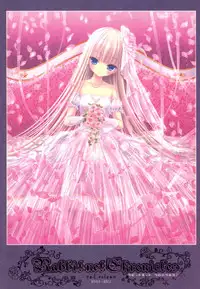 [Rabbit] habit net chronicles 2nd volume