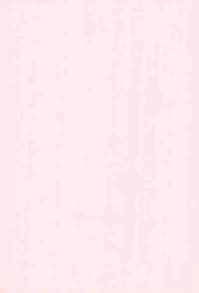 ONPU MANIA Daiginjou 2