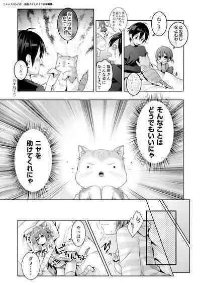 Nyancology Soushuuhen