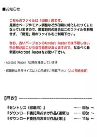 [Cyclone (Izumi, Reizei)] Centris Download edition (Magic Knight Rayearth) [Digital]