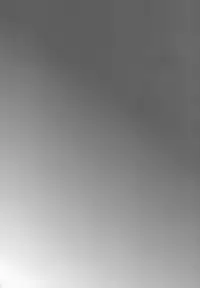 (C84) [Cannabis (Shimaji)] Pride Ijiri (Summon Night 5)