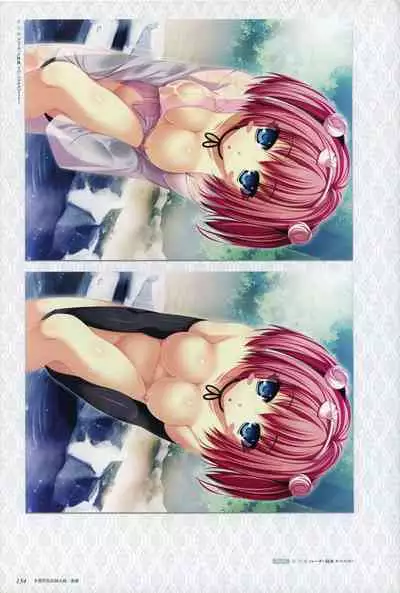 ChuSinGura 46+1 Official Visual Fan Book