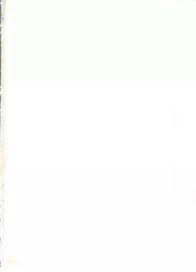 Shin Bishoujo Shoukougun 2 Mirai Hen