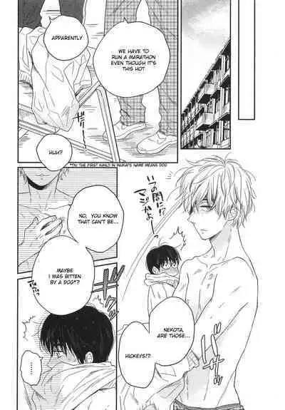 Mayou Inu, Sasou Neko