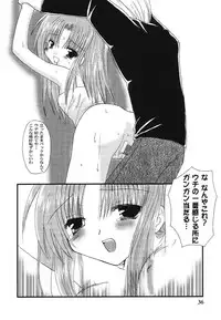 [Anthology] Himitsu no Serenade 1