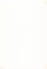 [Sakurafubuki Nel] Love Minimum