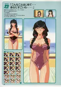 Super Real Mahjong Visual Fan Book Perfect Collection