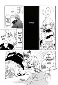 (C83) [Toko-ya (HEIZO, Kitoen)] ALI×MORU 2 (Magi)[English]{Mant}