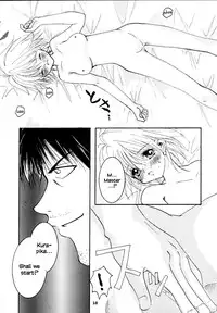 [Sakurara & Cherry (Sakura Mitsuru)] Pink Snow memoria (Hunter x Hunter)english