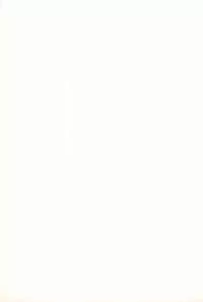 (C63) [Circle Bob (Brother Bob)] Aniome Imouto Ou 1 (Various)