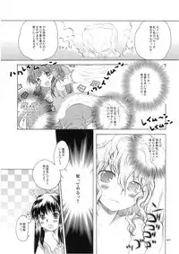 (C74) [Shoujo Zukin (Hatomugi Munmun)] Marecollect (Touhou Project)