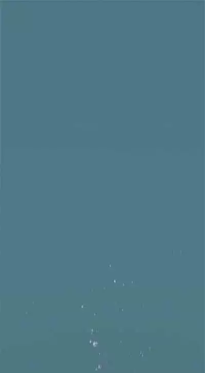 [週五] [洋世 & 經文旗] 衝突 1-113 官方中文（連載中）