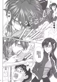 [Tengu no Tsuzura (Kuro Tengu)] doubt (Neon Genesis Evangelion) [Chinese] [surely個人漢化] [Digital]