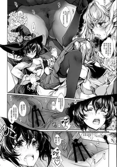 Otome Kishi no Himegoto