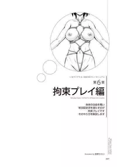いますぐデキる 図説SMプレイマニュアル