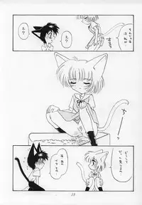 (C51) [Nekomimi Sorcery (Masamineko)] Ebaneko (Neon Genesis Evangelion)