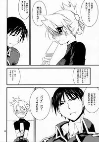 (C77) [Nansyu-Koubow (ID-ED)] Kann-ro 20 (Fullmetal Alchemist)