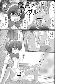 (C81)[Suzume no Miya] Made in Wonderland 1