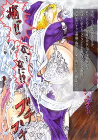 [Omoni Yoruyou (Hiratami)] Kanraku ~Awairo no Seijo~