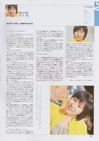 Super Real Mahjong Visual Fan Book Perfect Collection