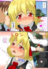 [Wasshoi☆Koubou] ma cherie (Touhou Project) [Digital]