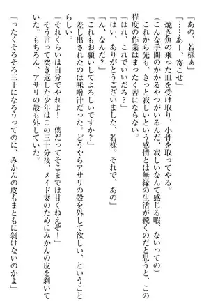 年上メイドの新婚日記