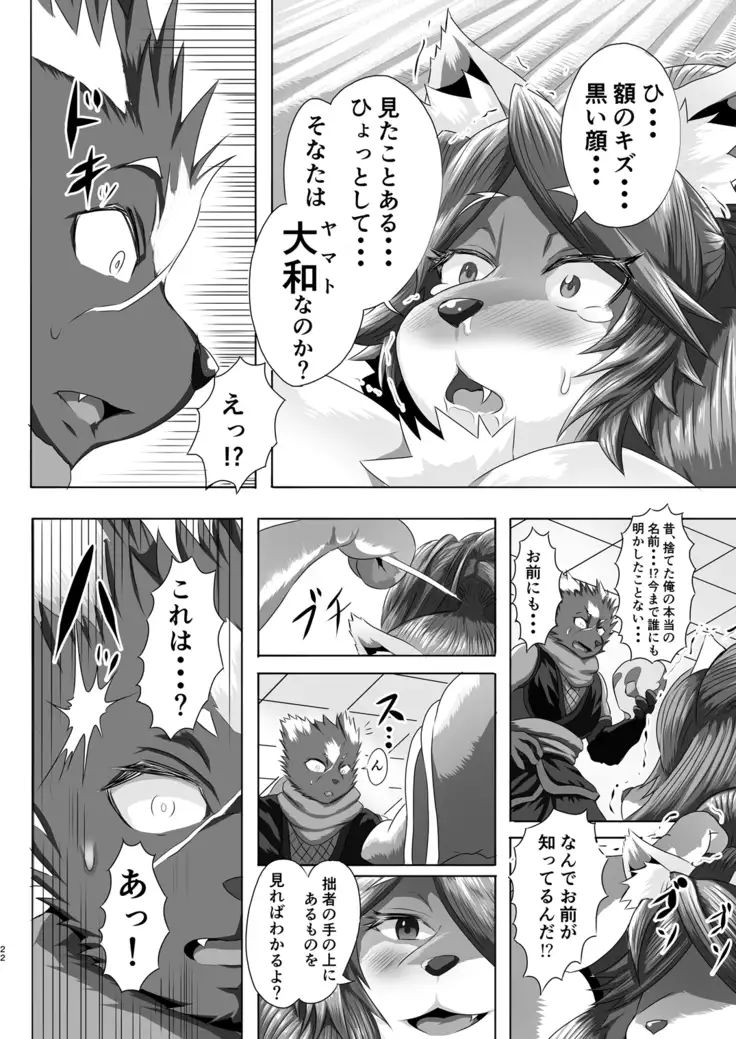 Samurai Onna to Ninja