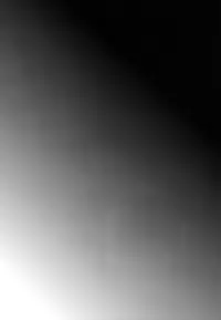 [Cannabis (Shimaji)] Kyousei Shinkon Seikatsu [Digital]