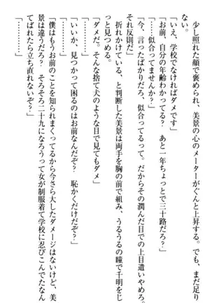年上メイドの新婚日記