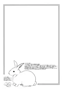 (C82) [Ryokucha Combo (Chameleon)] Usagi no Okusuriyasan (Touhou Project)