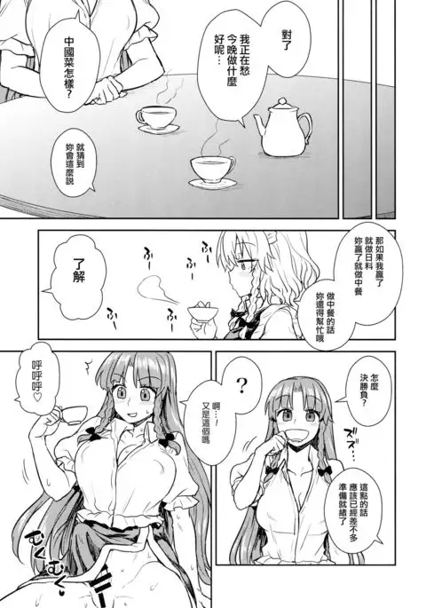Sakuya-san VS Meiling-san | 咲夜小姐VS美鈴小姐