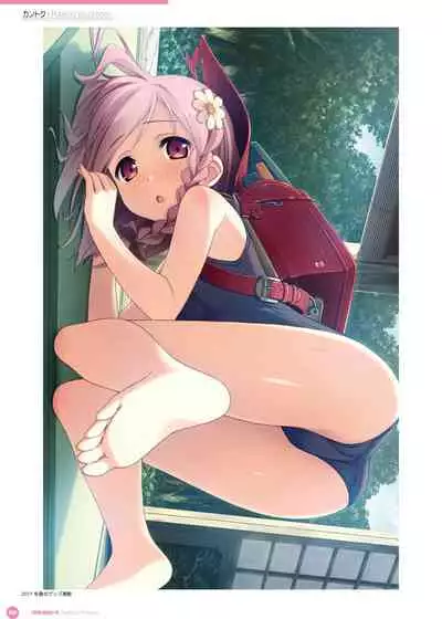 Kantoku Publicity Visual book