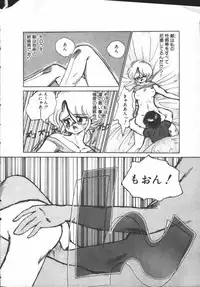 [Lei Nekojima] Yumesaki Annai Neko