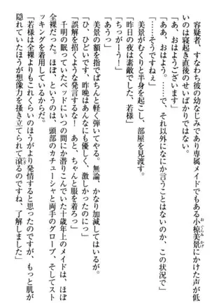 年上メイドの新婚日記